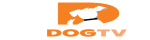  coupon codes
