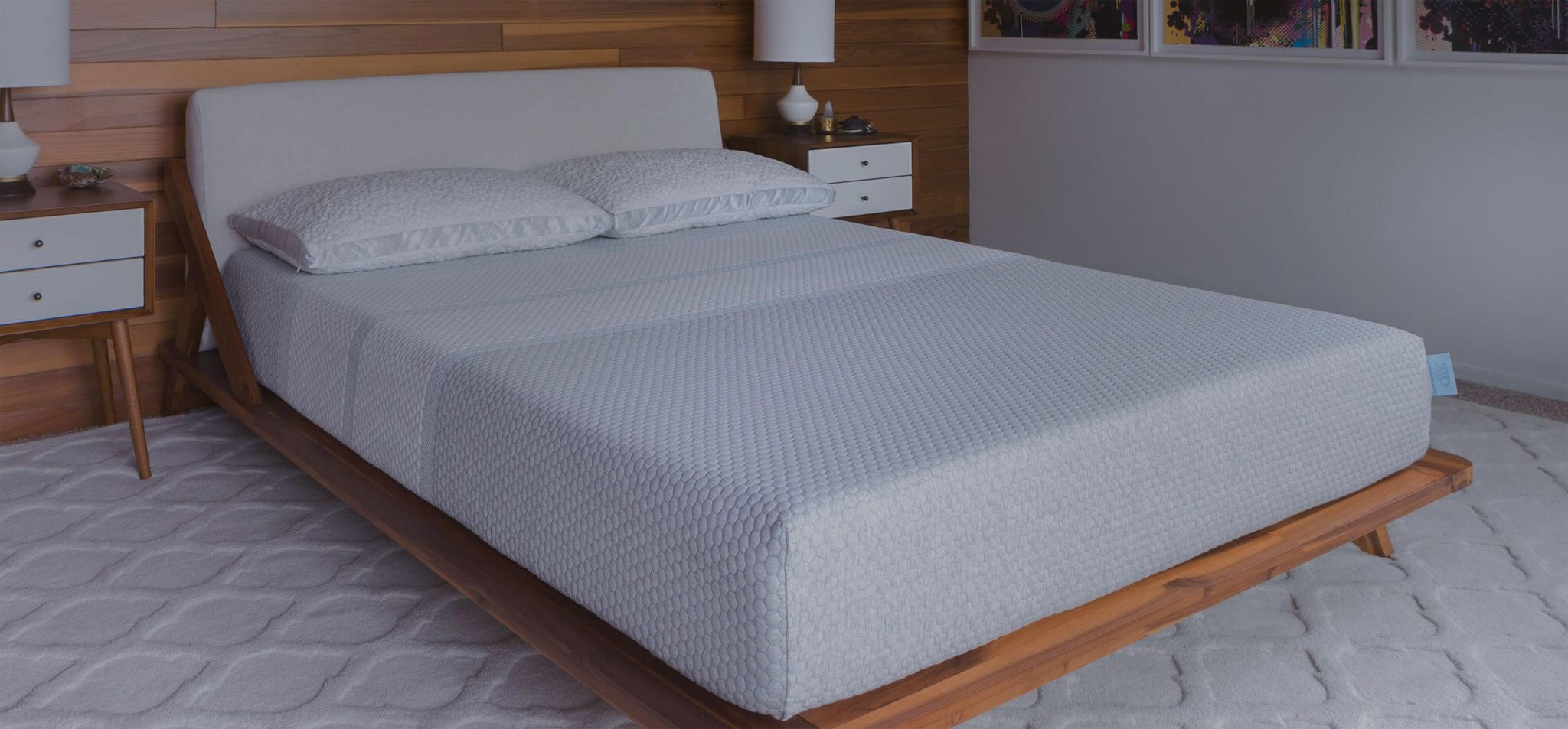 2920 Sleep Mattress