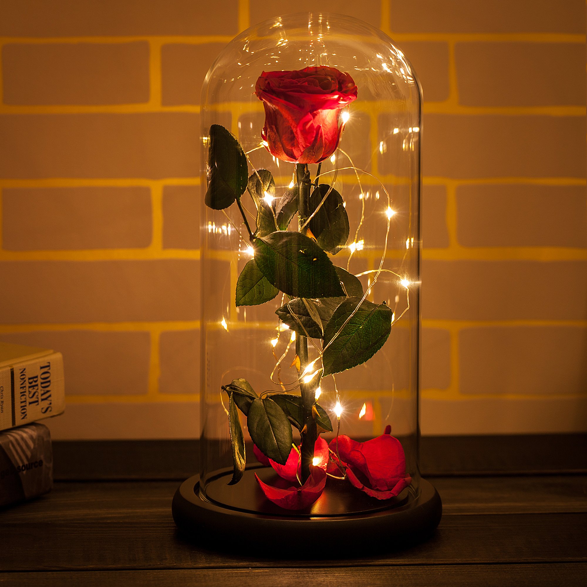 Beauty and the Beast Dome Rosephoria Rose Flowers on this valentines day