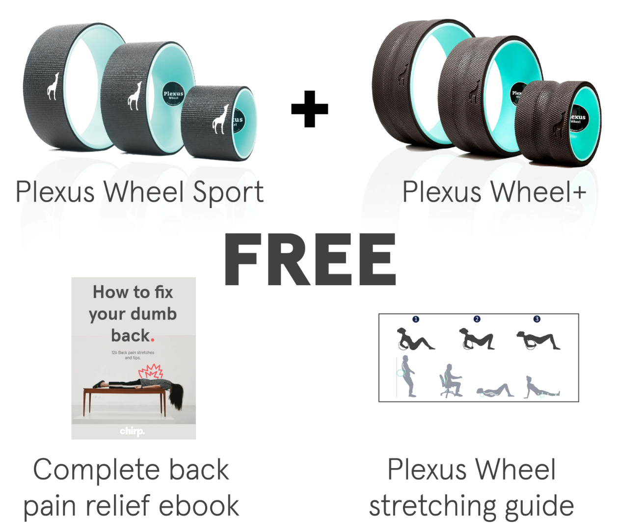 The Complete Back Pain Relief Bundle By Go Chirp