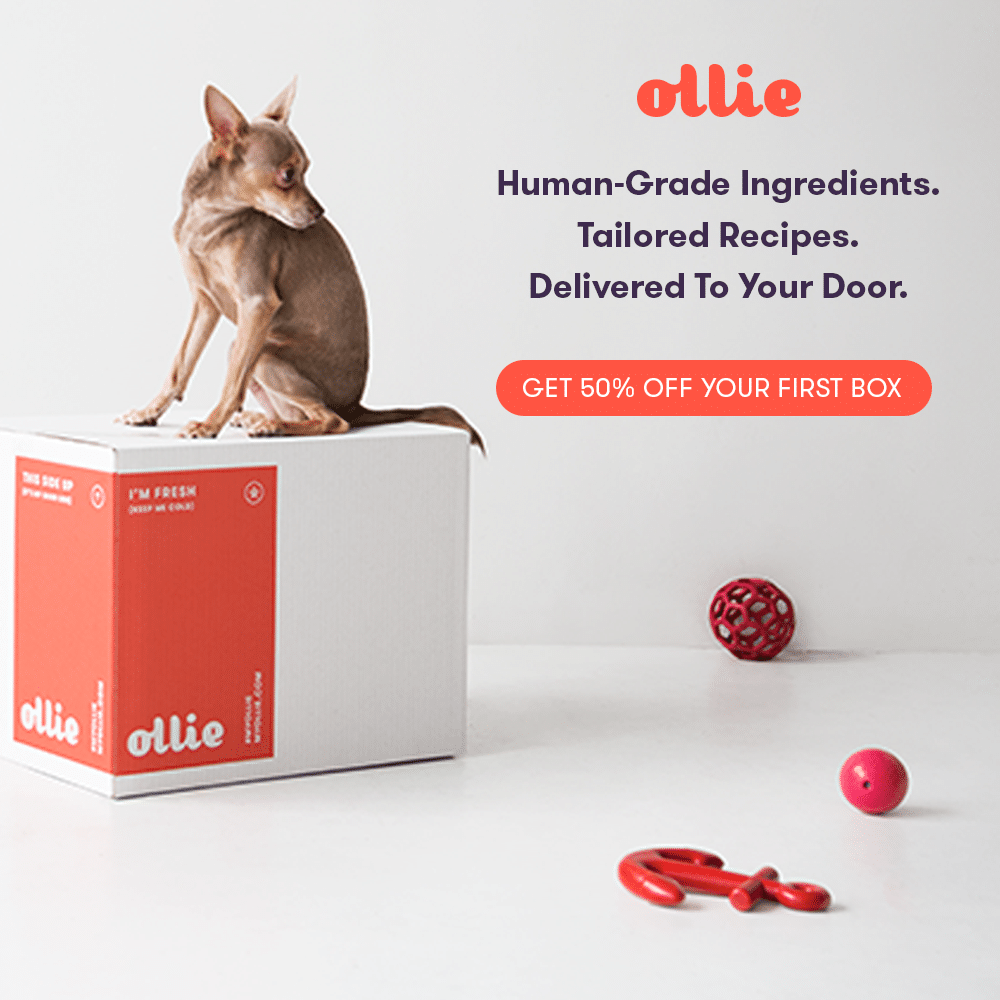 50 off Ollie Pets Coupons, Promo Code & Deals March 2021