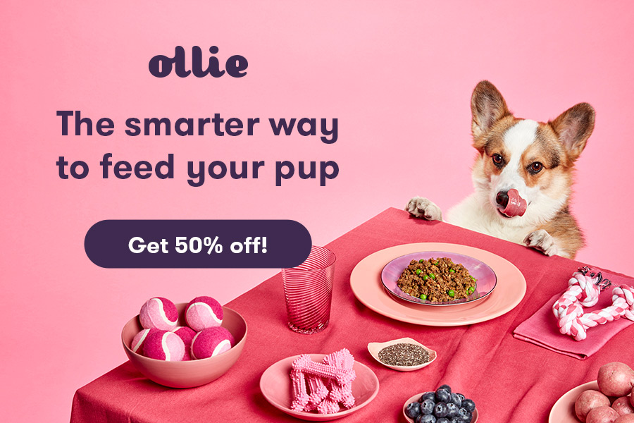 Ollie Pet Foods